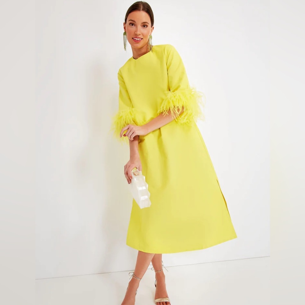 Citron Feather Jamie Dress
TUCKERNUCK
